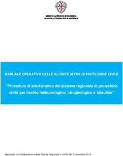 Procedure di allertamento del sistema regionale di protezione civile per rischio meteorologico, idrogeologico e idraulico