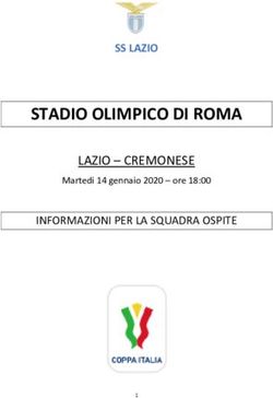 STADIO OLIMPICO DI ROMA - LAZIO - CREMONESE SS LAZIO