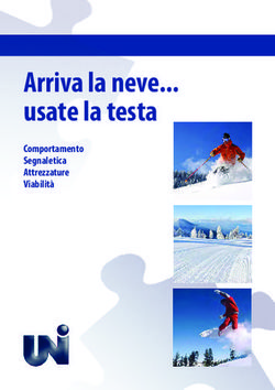 Arriva la neve... usate la testa - Comportamento Segnaletica Attrezzature Viabilit&agrave;