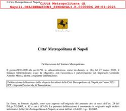 Citta' Metropolitana di Napoli - Dipartimento delle Finanze