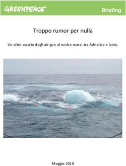Troppo rumor per nulla - Un altro assalto degli air gun al nostro mare, tra Adriatico e Ionio - Maggio 2018