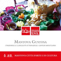 Mantova Gustosa ITINERARIO E CURIOSITÀ ATTRAVERSO I SAPORI MANTOVANI - Comune di Mantova