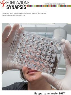 FONDAZIONE SYNAPSIS - Rappor to annuale 2017 - Die Stiftung Synapsis