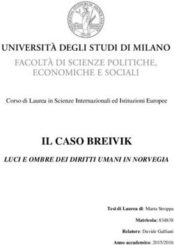 IL CASO BREIVIK LUCI E OMBRE DEI DIRITTI UMANI IN NORVEGIA - Corso di Laurea in Scienze Internazionali ed Istituzioni Europee
