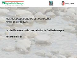 RICARICA DELLA CONOIDE DEL MARECCHIA - Rimini 15 aprile 2016 La pianificazione della risorsa idrica in Emilia-Romagna Rosanna Bissoli