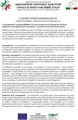 REPORT TECNICO CONSANGUINEITA' - ASSOCIAZIONE NAZIONALE ALLEVATORI CAVALLI DI RAZZA HAFLINGER ITALIA