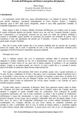 Il ruolo dell'idrogeno nel futuro energetico del pianeta.