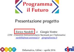 Presentazione progetto - Enrico Nardelli & Giorgio Ventre Didamatica, Udine - aprile 2016 - Programma il Futuro