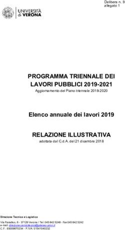 PROGRAMMA TRIENNALE DEI LAVORI PUBBLICI 2019-2021