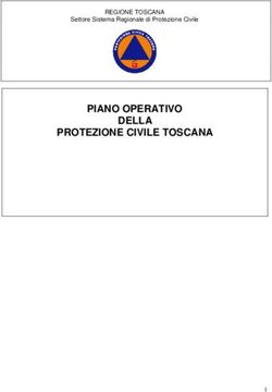 PIANO OPERATIVO DELLA PROTEZIONE CIVILE TOSCANA - REGIONE TOSCANA Settore Sistema Regionale di Protezione Civile