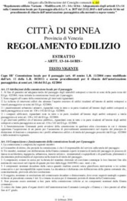 CITTÀ DI SPINEA - Comune di ...