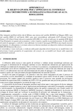APPENDICE 4.3 IL RILIEVO GPS RTK PER L'APPOGGIO E IL CONTROLLO DELL'ORTORETTIFICA DI IMMAGINI SATELLITARI AD ALTA