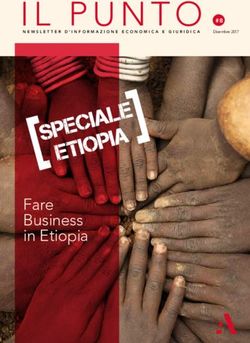 IL PUNTO.#8 - Fare Business in Etiopia - Albula Advisors