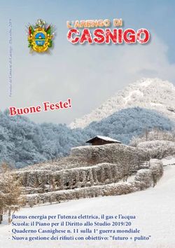 Buone Feste! - nuova gestione dei rifiuti Obiettivo