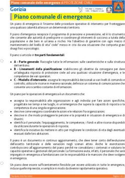 Piano comunale di emergenza