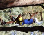PROGETTO SCUOLE 2017/2018 - Liotru Adventure Park