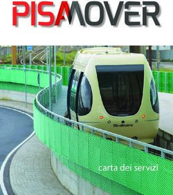 Carta dei servizi - Pisa Mover