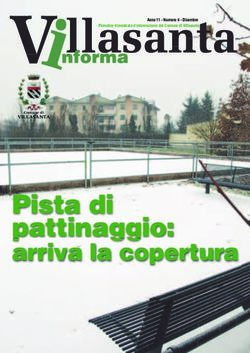Pista di pattinaggio: arriva la copertura - Comune di Villasanta