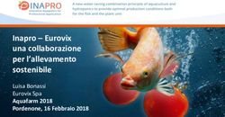 Inapro - Eurovix una collaborazione per l'allevamento sostenibile - Luisa Bonassi Eurovix Spa Aquafarm 2018 Pordenone, 16 Febbraio 2018 - Novel Farm