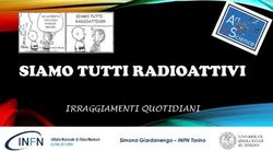 SIAMO TUTTI RADIOATTIVI - IRRAGGIAMENTI QUOTIDIANI Simona Giordanengo - INFN Torino