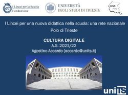 CULTURA DIGITALE I Lincei per una nuova didattica nella scuola: una rete nazionale Polo di Trieste