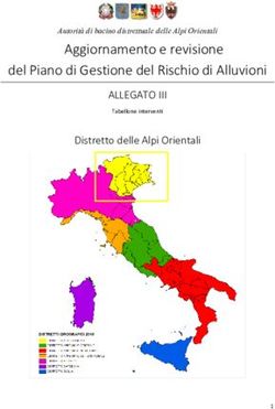 Aggiornamento e revisione - Autorità di bacino distrettuale delle Alpi Orientali del Piano di Gestione del Rischio di Alluvioni