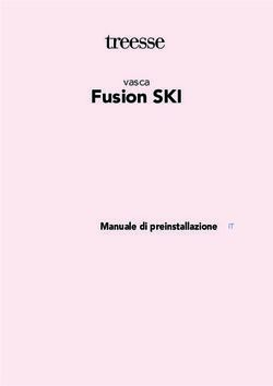 Fusion SKI - Manuale di preinstallazione - Gruppo Treesse