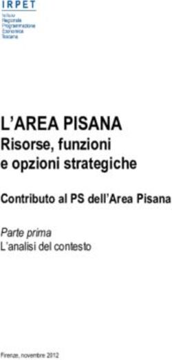 L'AREA PISANA Risorse, funzioni e opzioni strategiche Contributo al PS dell'Area Pisana Parte prima - Comune di Pisa
