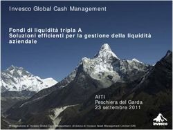 Invesco Global Cash Management - Fondi di liquidit&agrave; tripla A Soluzioni efficienti per la gestione della liquidit&agrave; aziendale