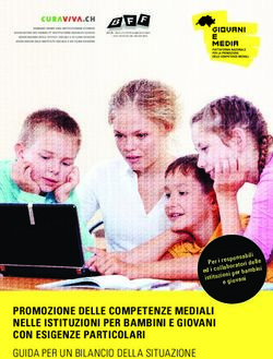 PROMOZIONE DELLE COMPETENZE MEDIALI NELLE ISTITUZIONI PER BAMBINI E GIOVANI CON ESIGENZE PARTICOLARI GUIDA PER UN BILANCIO DELLA SITUAZIONE ...