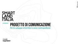PROGETTO DI COMUNICAZIONE - Per lo sviluppo di territori e aree metropolitane Un progetto Energia Media Srl