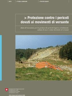 Protezione contro i pericoli dovuti ai movimenti di versante - Aiuto all'esecuzione per la gestione dei pericoli legati a scivolamenti, caduta ...