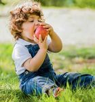 Sicurezza dei prodotti alimentari - Dai campi alla tavola: alimenti sicuri e sani per tutti