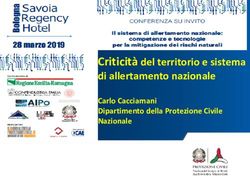 Criticit&agrave; del territorio e sistema di allertamento nazionale - Carlo Cacciamani Dipartimento della Protezione Civile Nazionale