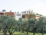 Stato Sociale Consolidamento & Potenziamento - Segreteria di Stato Sanit&agrave; e Sicurezza Sociale ...