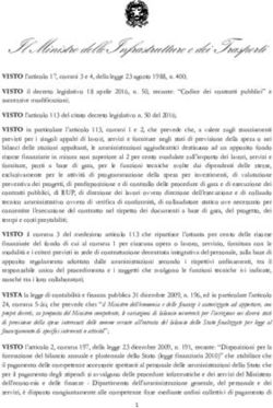 Il Ministro delle Infrastrutture e dei Trasporti