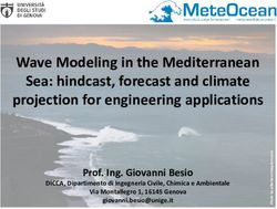 Wave Modeling in the Mediterranean Sea: hindcast, forecast and climate projection for engineering applications - RemTech Expo