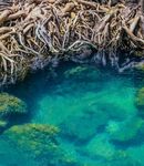SOLUZIONI BASATE SULLA NATURA PER LA GESTIONE DELL'ACQUA - unesco