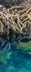 SOLUZIONI BASATE SULLA NATURA PER LA GESTIONE DELL'ACQUA - unesco