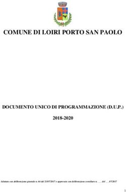 COMUNE DI LOIRI PORTO SAN PAOLO - DOCUMENTO UNICO DI PROGRAMMAZIONE (D.U.P.) 2018-2020