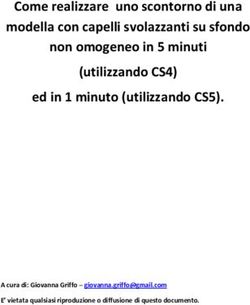Come realizzare uno scontorno di una modella con capelli svolazzanti su sfondo non omogeneo in 5 minuti (utilizzando CS4) ed in 1 minuto ...