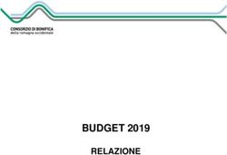BUDGET 2019 RELAZIONE - Consorzio di Bonifica della Romagna occidentale