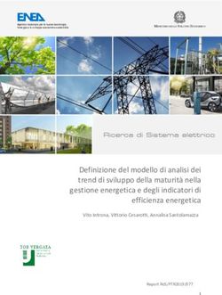Definizione del modello di analisi dei trend di sviluppo della maturità nella gestione energetica e degli indicatori di efficienza energetica - ENEA
