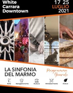 Programma Generale - 17-25 LUGLIO 2021 - White Carrara Downtown
