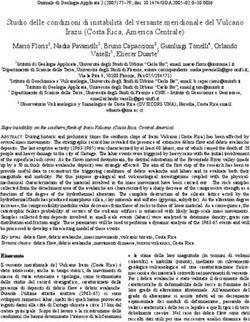 Studio delle condizioni di instabilità del versante meridionale del Vulcano Irazu (Costa Rica, America Centrale)