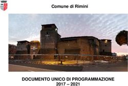 DOCUMENTO UNICO DI PROGRAMMAZIONE - Comune di Rimini 2017 2021