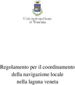 Regolamento per il coordinamento della navigazione locale nella laguna veneta