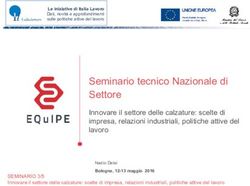 Seminario tecnico Nazionale di Settore - Innovare il settore delle calzature: scelte di impresa, relazioni industriali, politiche attive del ...