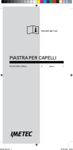 PIASTRA PER CAPELLI Istruzioni per l'uso
