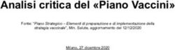 Analisi critica del "Piano Vaccini" - Fonte: "Piano Strategico - Elementi di preparazione e di implementazione della - +Europa